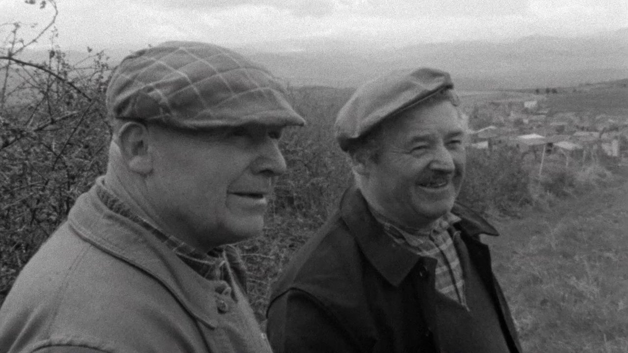 Dhimbja dhe Mëshira backdrop