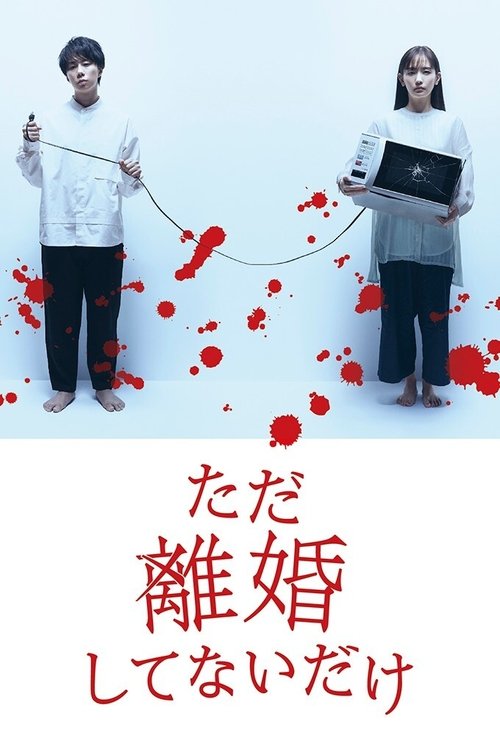 Ne Thjesht Nuk Jemi Të Ndara poster