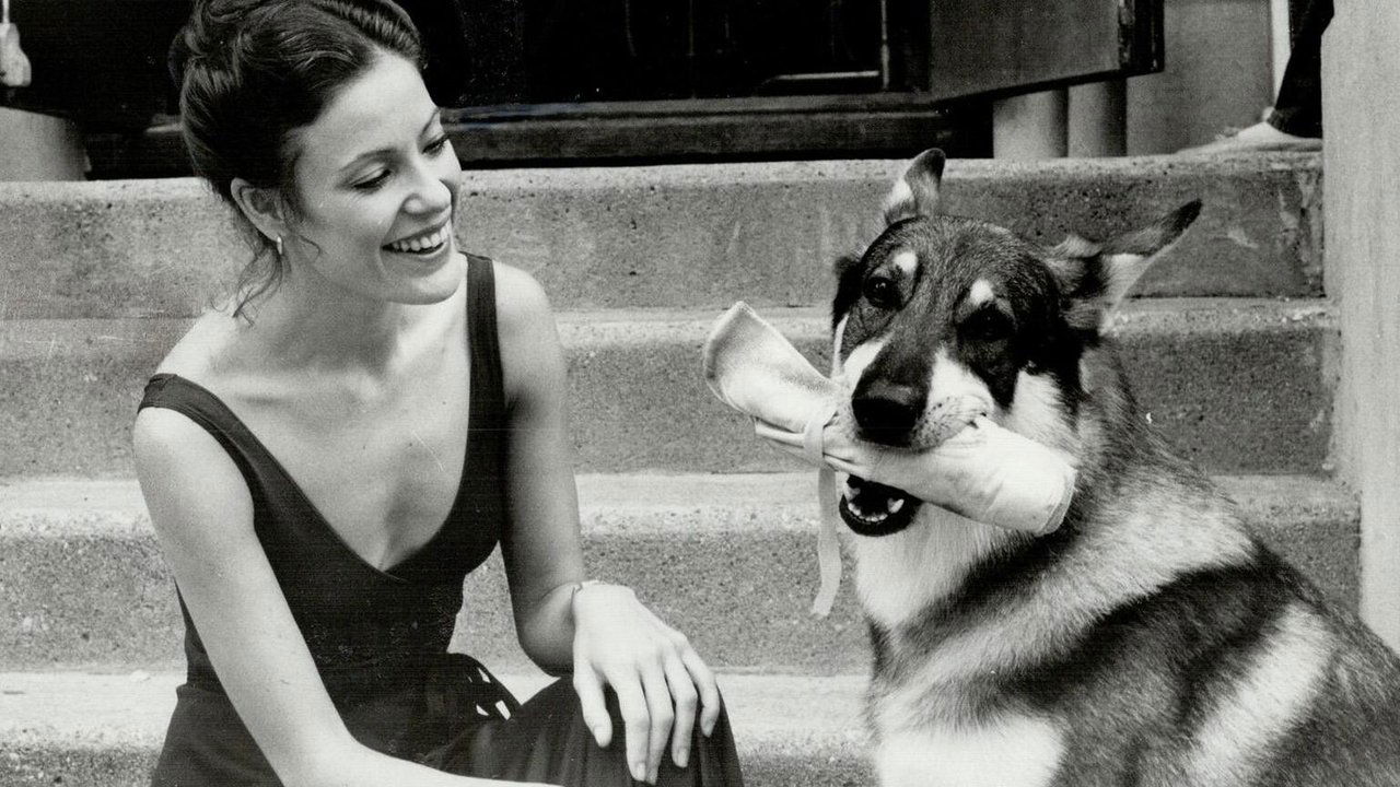 Hobo i Vogël backdrop