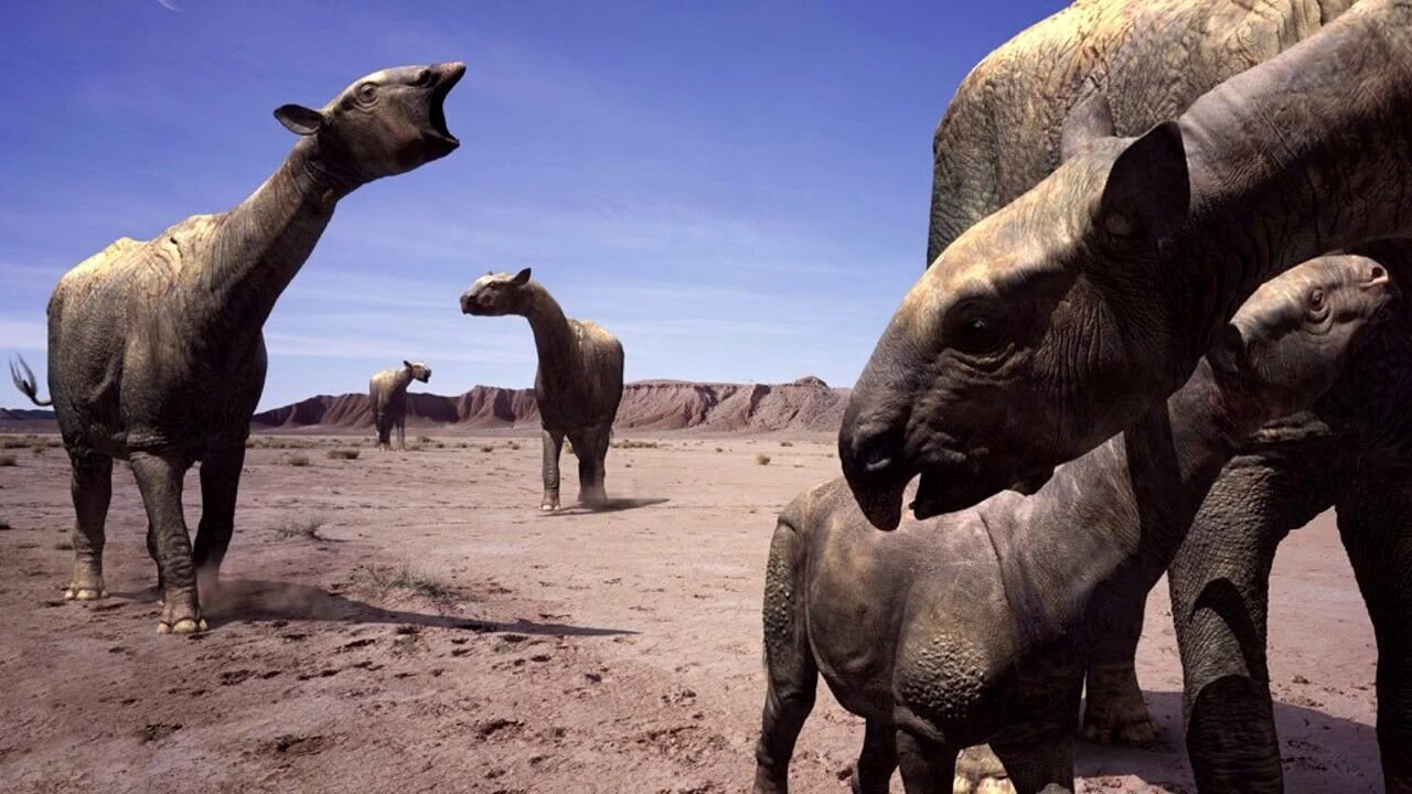 Ecja me Sëpatëzat backdrop