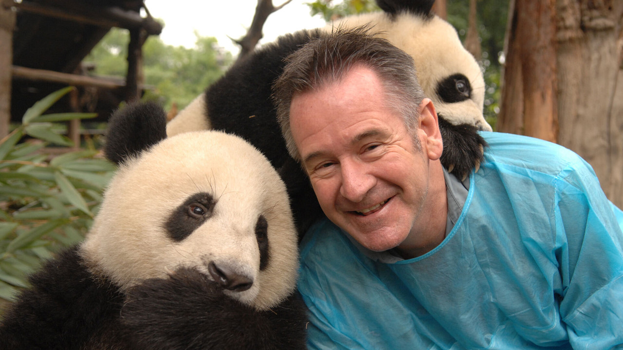 Aventura me Pandat me Nigel Marven backdrop