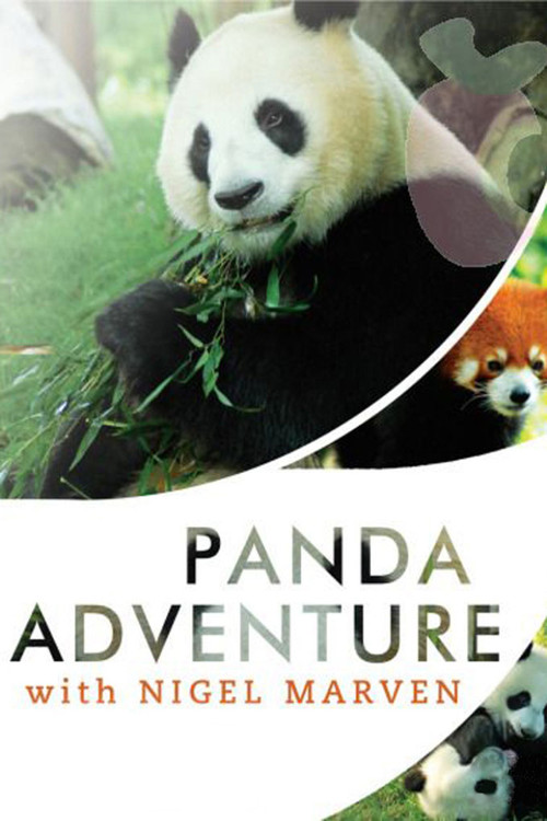 Aventura me Pandat me Nigel Marven poster