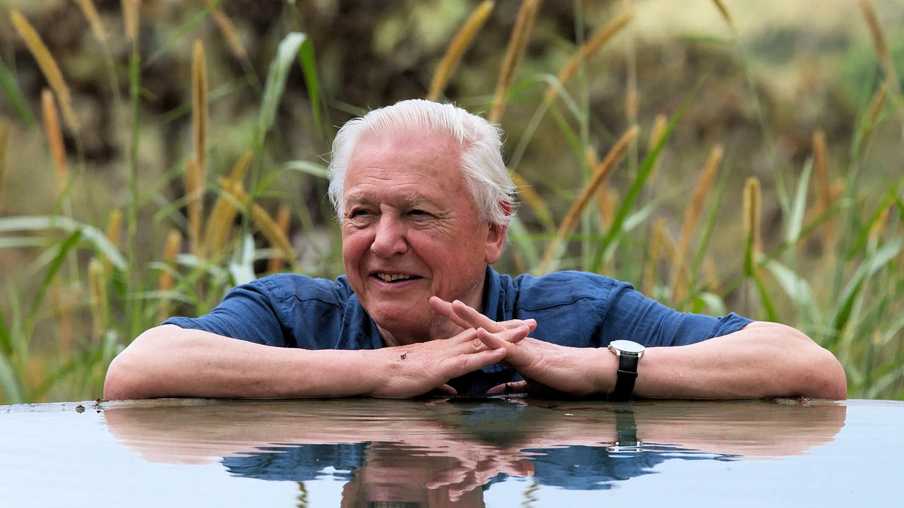 Aventura Globale e David Attenborough backdrop