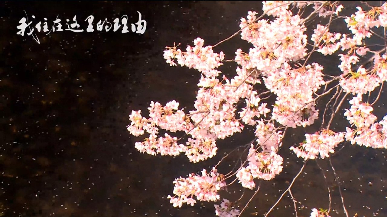 Unë kam një arsye për të jetuar këtu backdrop