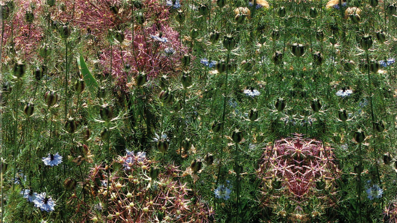 Kopshtet e Botës me Audrey Hepburn backdrop