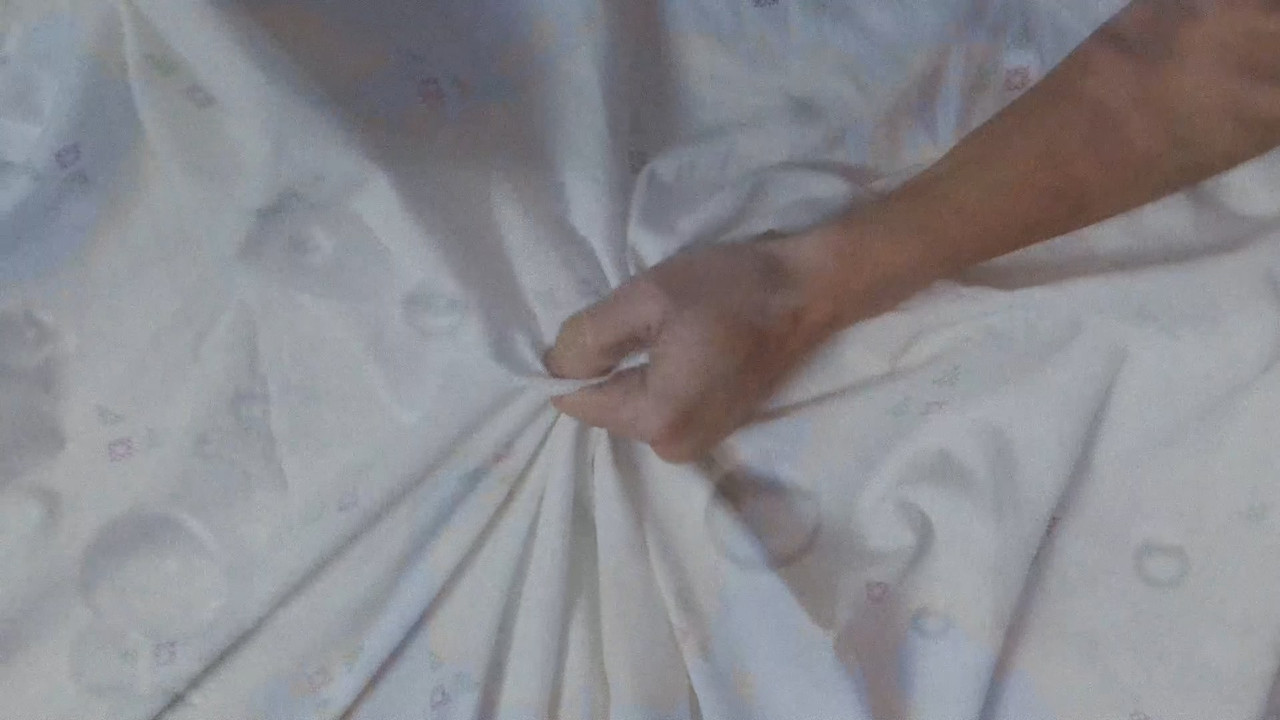 Një Qenushë Andaluziane backdrop