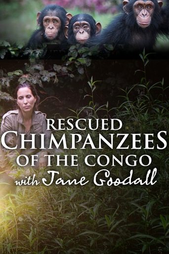Chimpanzetë e Shpëtuar të Kongos me Jane Goodall