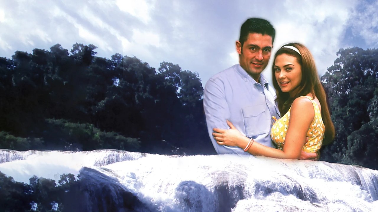 Më përqafo fort backdrop