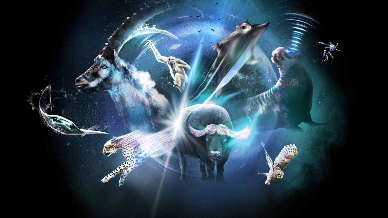 Super/Natyrale backdrop