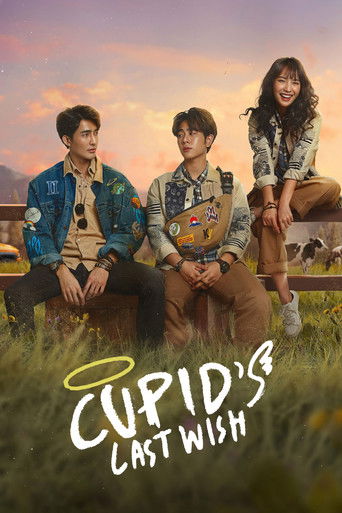 Dëshira e Fundit e Kupidit