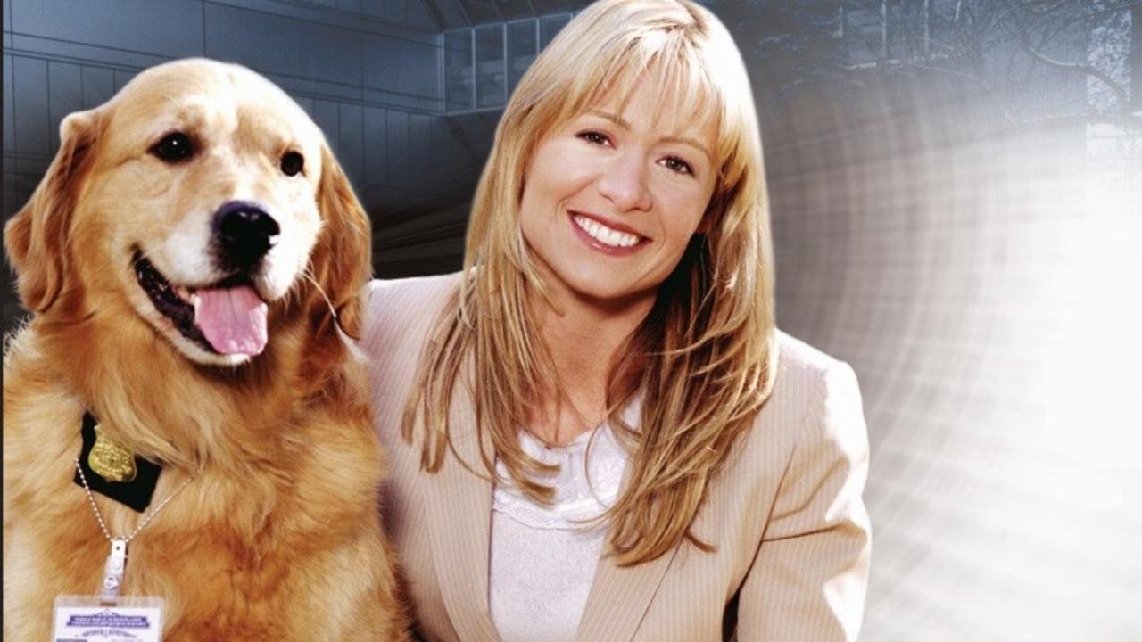 Sue Thomas: F.B.Eye backdrop