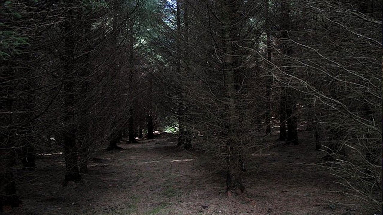 Rrënoja e errët backdrop