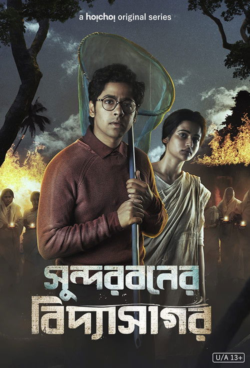 Sundarbaner Vidyasagar poster