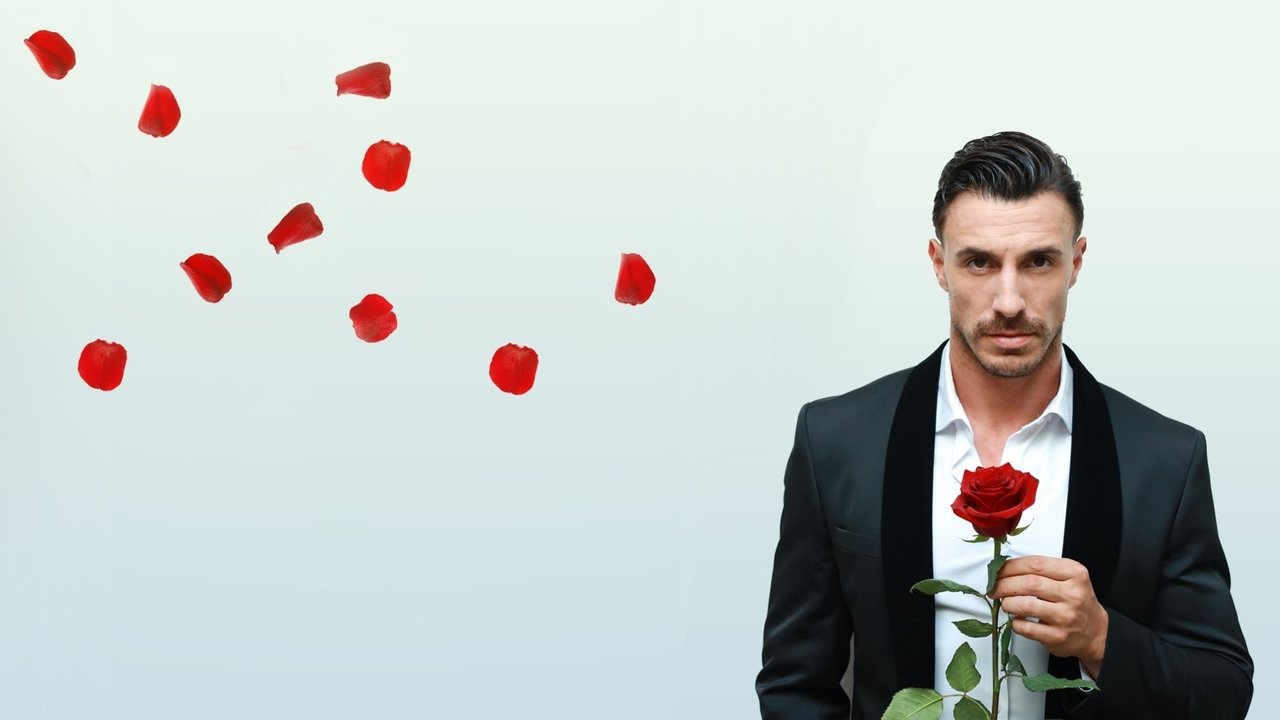 The Bachelor bTV backdrop