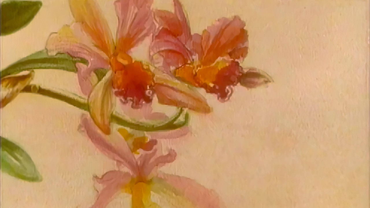 Shtëpia e Orkidetë backdrop