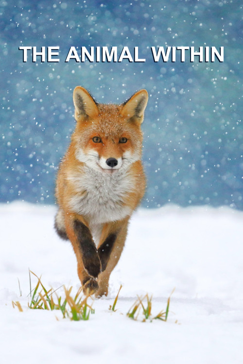 Animalia brenda poster