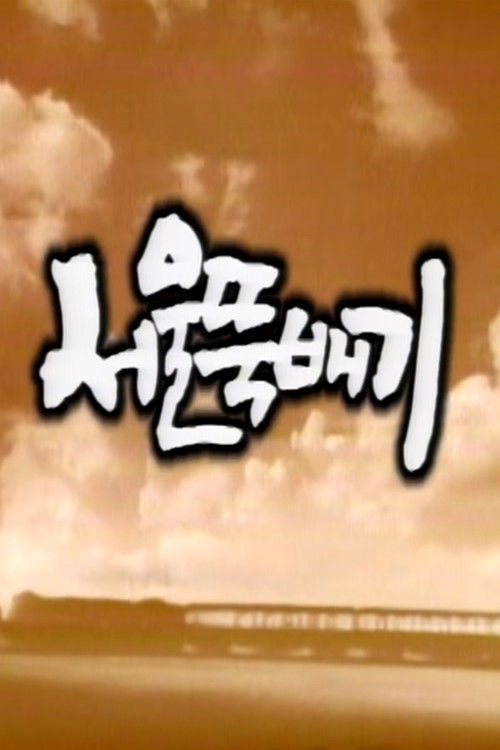 Seoul Ttukbaegi poster