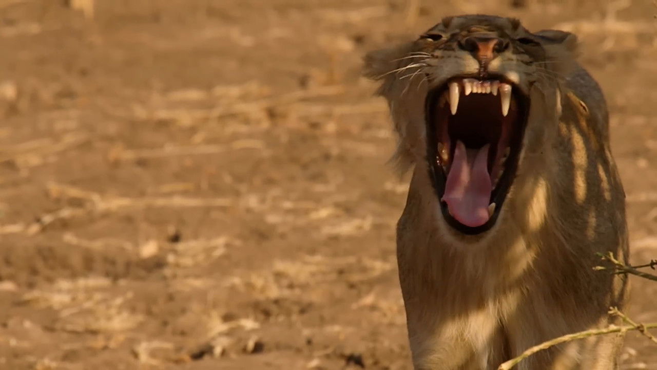 Vendit i Luanëve: Natë dhe Ditë backdrop