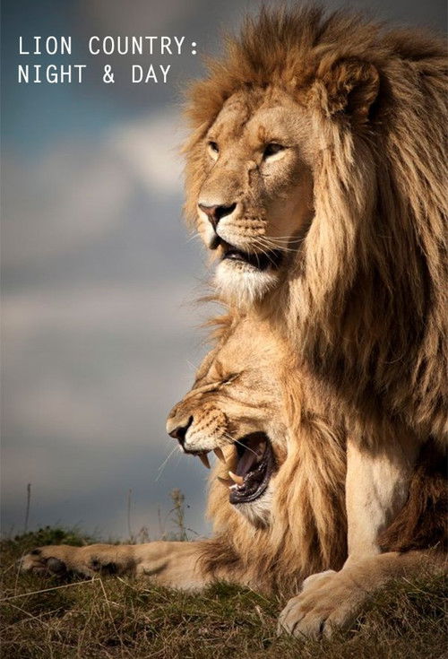 Vendit i Luanëve: Natë dhe Ditë poster