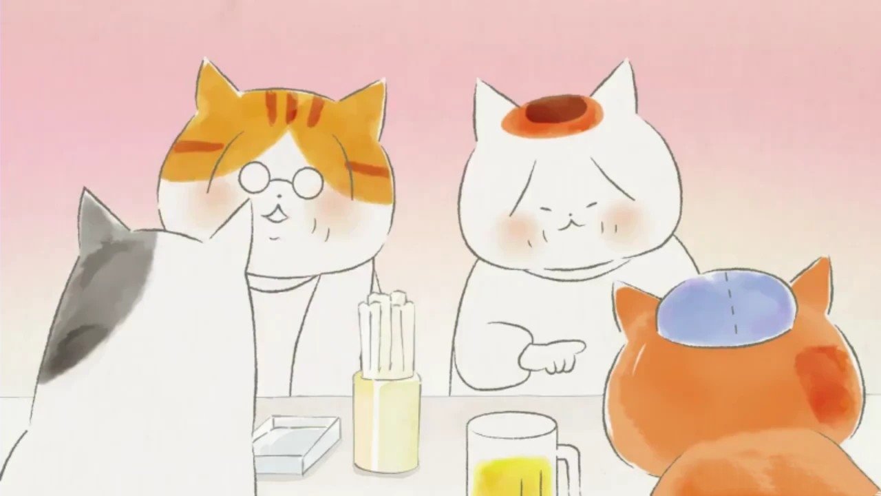 Tora dhe Mike backdrop