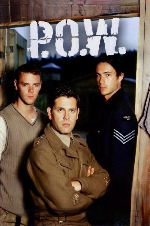 P.O.W poster