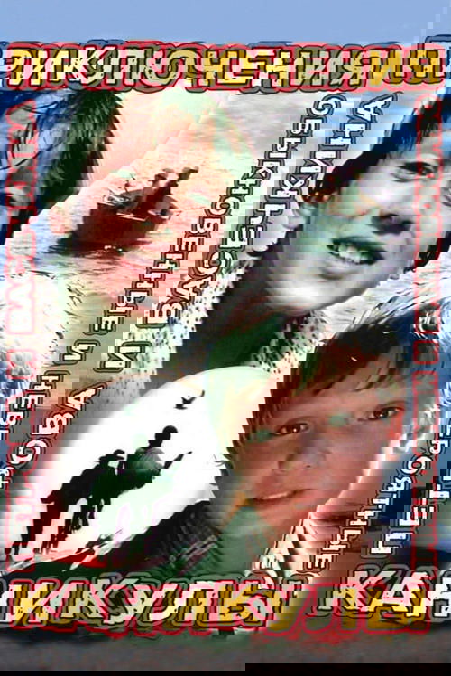 Aventurat e Petrovit dhe Vaseçkinës poster