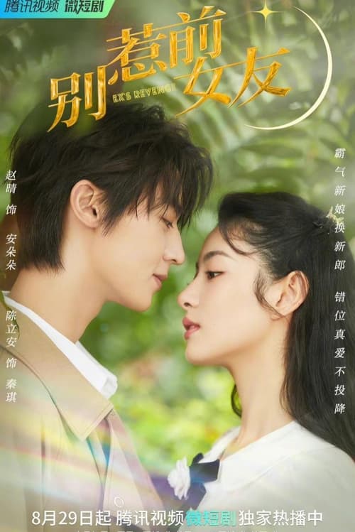 Mos e prish me ish-të dashurën poster