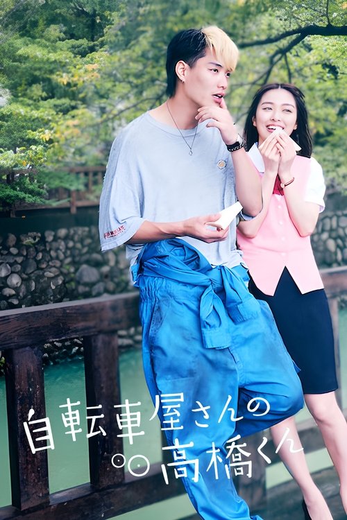 Dashuria e Qetë e Biçikletave poster