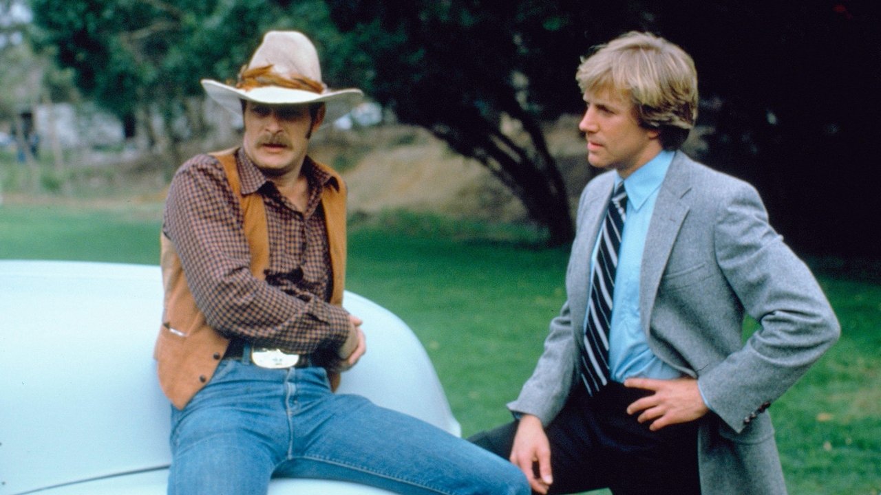 Simon dhe Simon backdrop