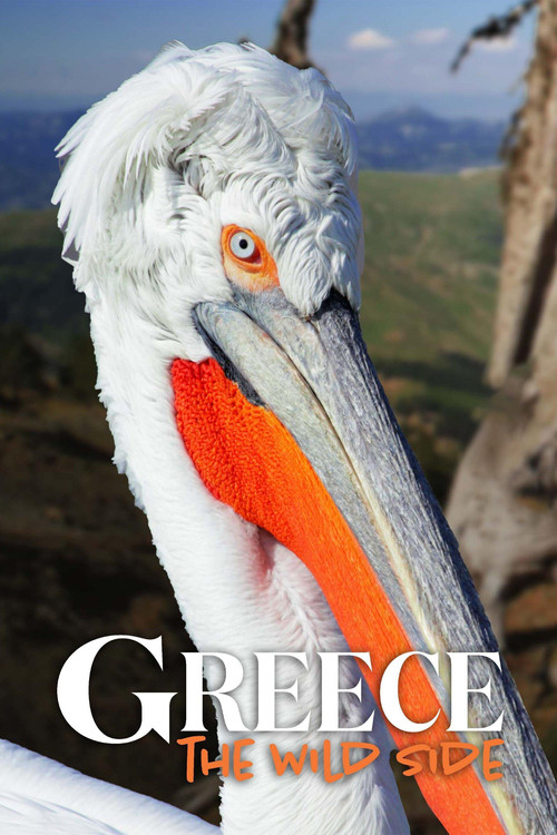 Greqia - Ana e Egër poster