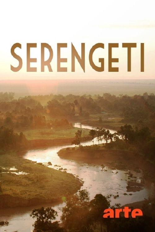 Serengeti poster
