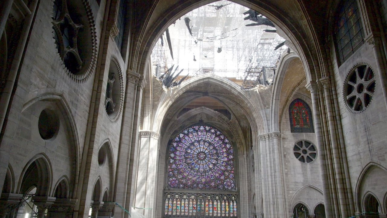 Notre-Dame de Paris, projekti i shekullit backdrop