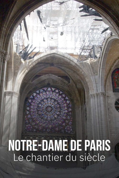 Notre-Dame de Paris, projekti i shekullit poster