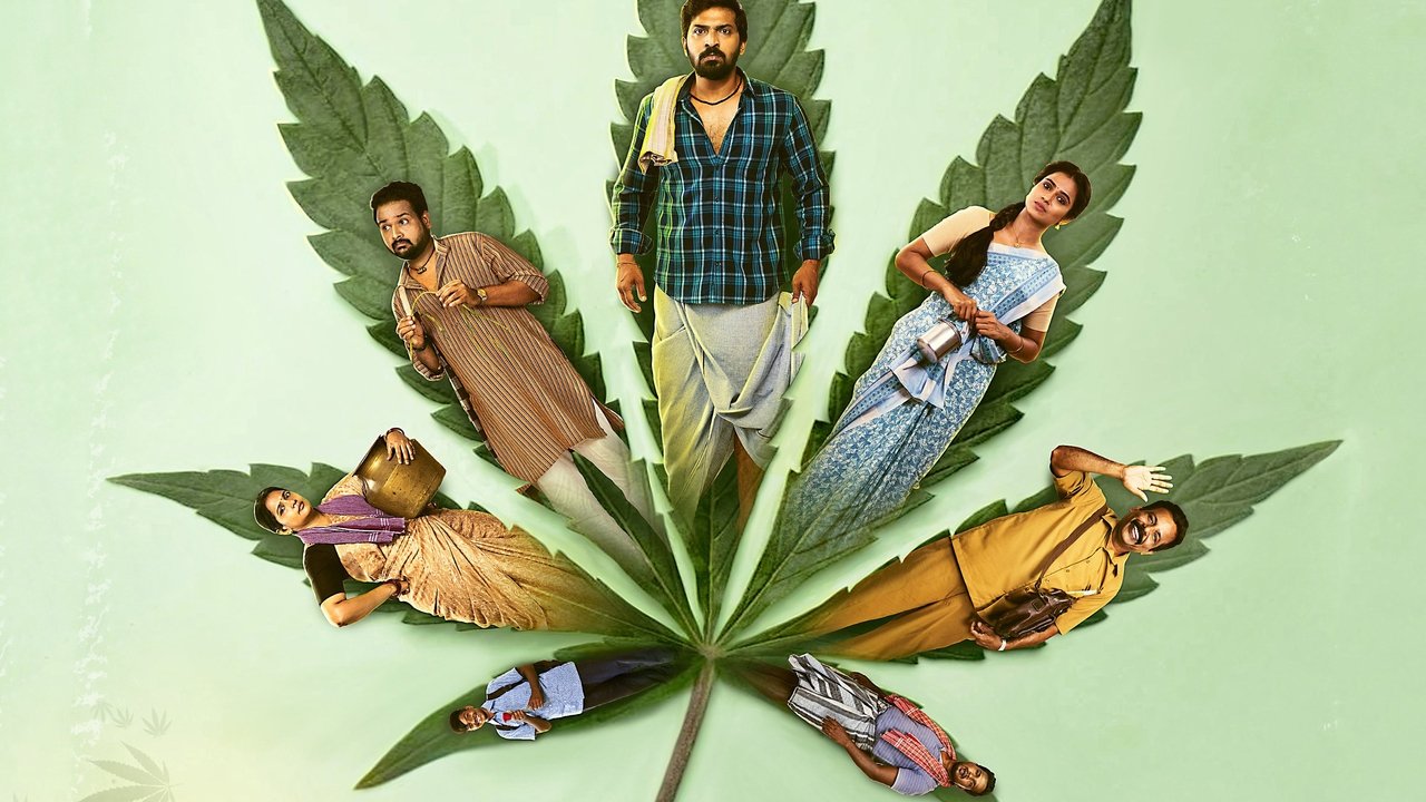 Fermieri i rastësishëm & Co backdrop