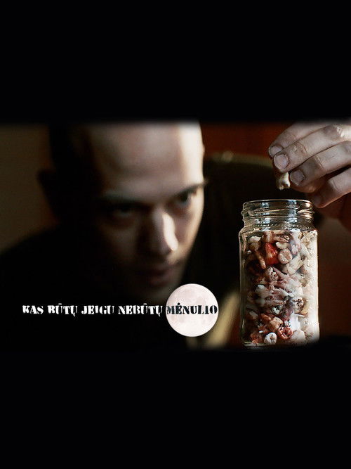 Çfarë do të ndodhte nëse nuk do të ishte Hëna poster