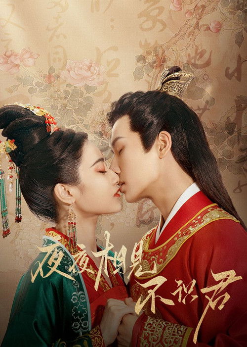 Bashkëshortja ime e rremë poster