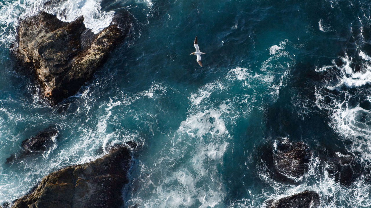 Deti ynë: Deti i Veriut. Deti i Lindjes backdrop