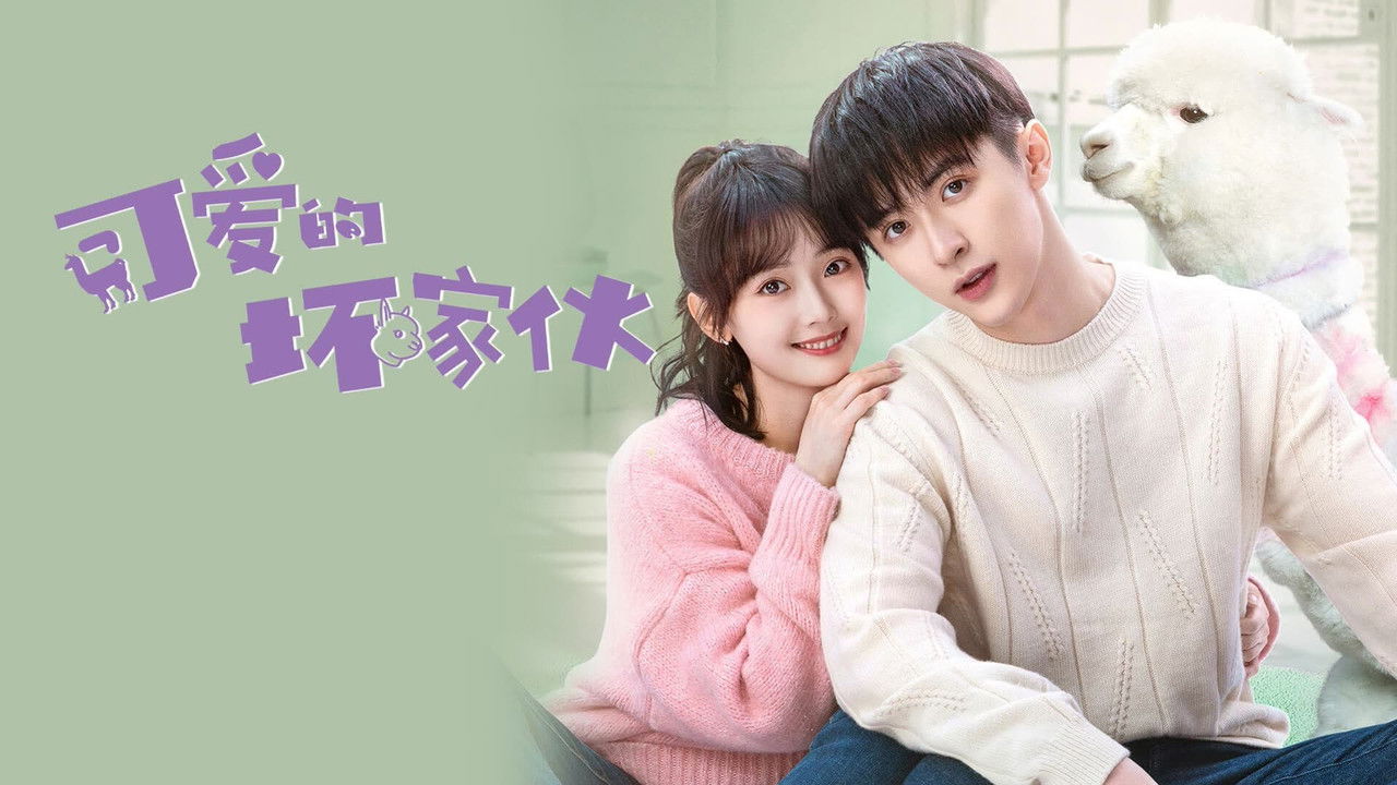 I Keqja e Bukur backdrop