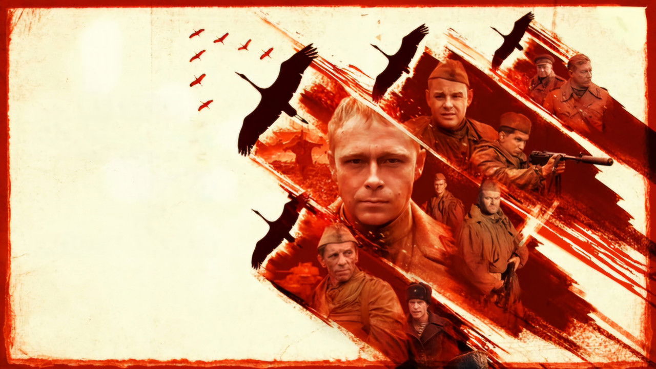 Thirrja "Kranët" backdrop