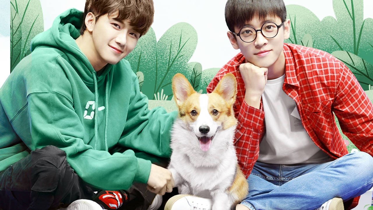 Ne Nuk Jemi Vëllezër backdrop