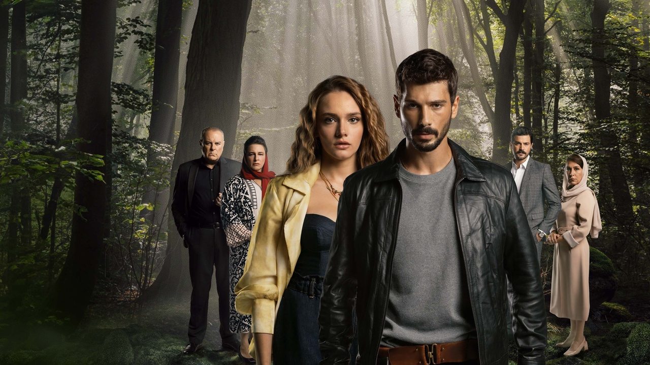 Dashuri pa kufi backdrop