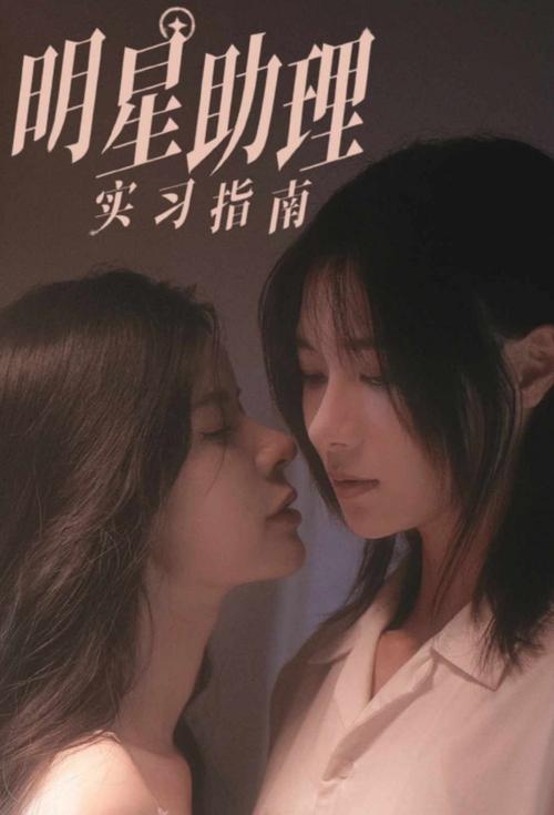 Një Udhëzues Praktik për Të Qenë Asistent i Një Superstar-i poster