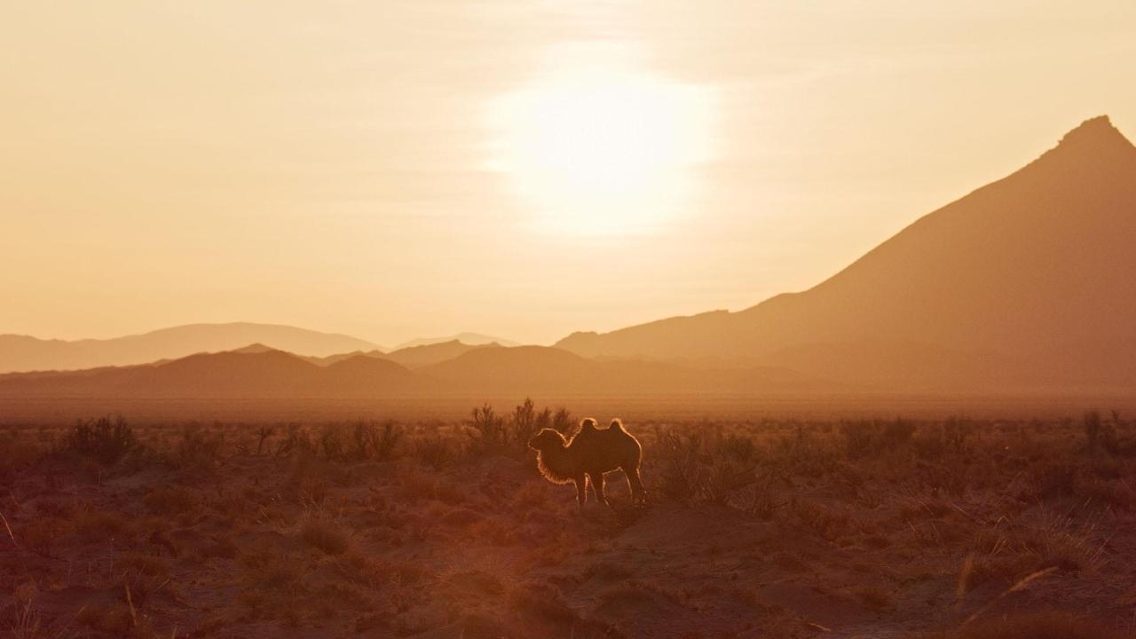 Evolucioni i Tokës backdrop