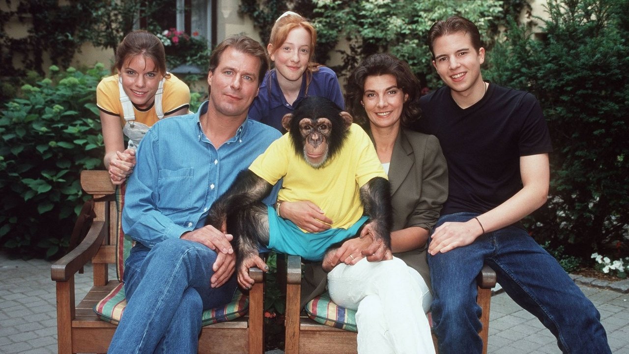 Këtu Charly backdrop