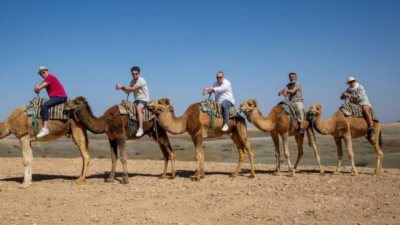 Më mirë vonë se kurrë backdrop