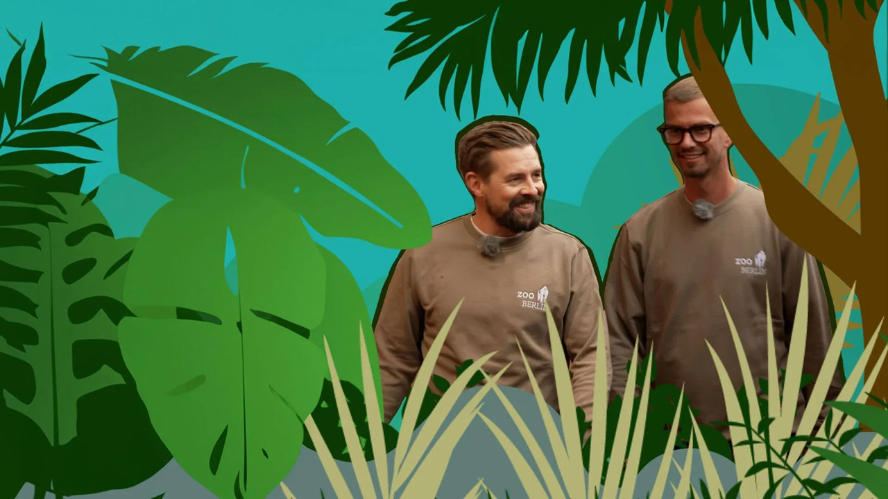 Joko & Klaas në Zoo backdrop