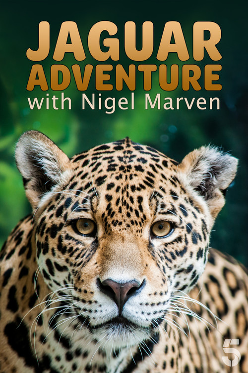 Aventura e Jaguarit me Nigel Marven poster