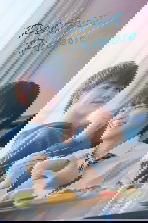 Propozimi Perfect poster