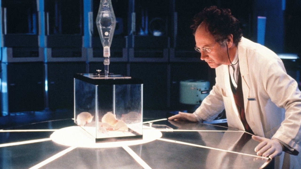 Vitet e Artë backdrop