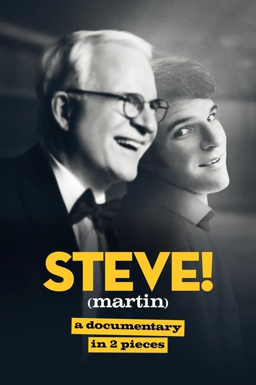 STEVE! (martin) një dokumentar në 2 pjesë poster